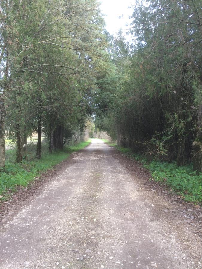 הוילה אברנטש Quinta De Coalhos Th מראה חיצוני תמונה